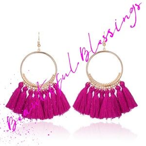 ‼️New‼️ 😍Pink Bohemian Fringed Tassel Earrings